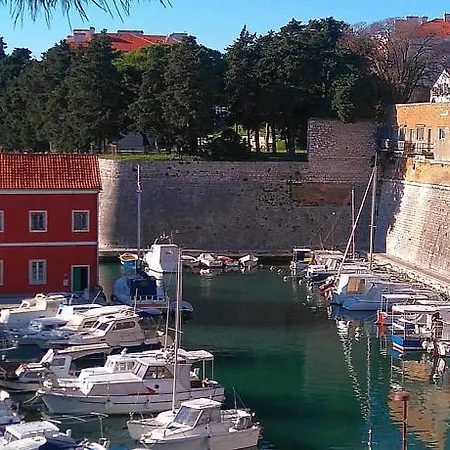 Marty Zadar