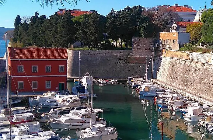 Marty Zadar